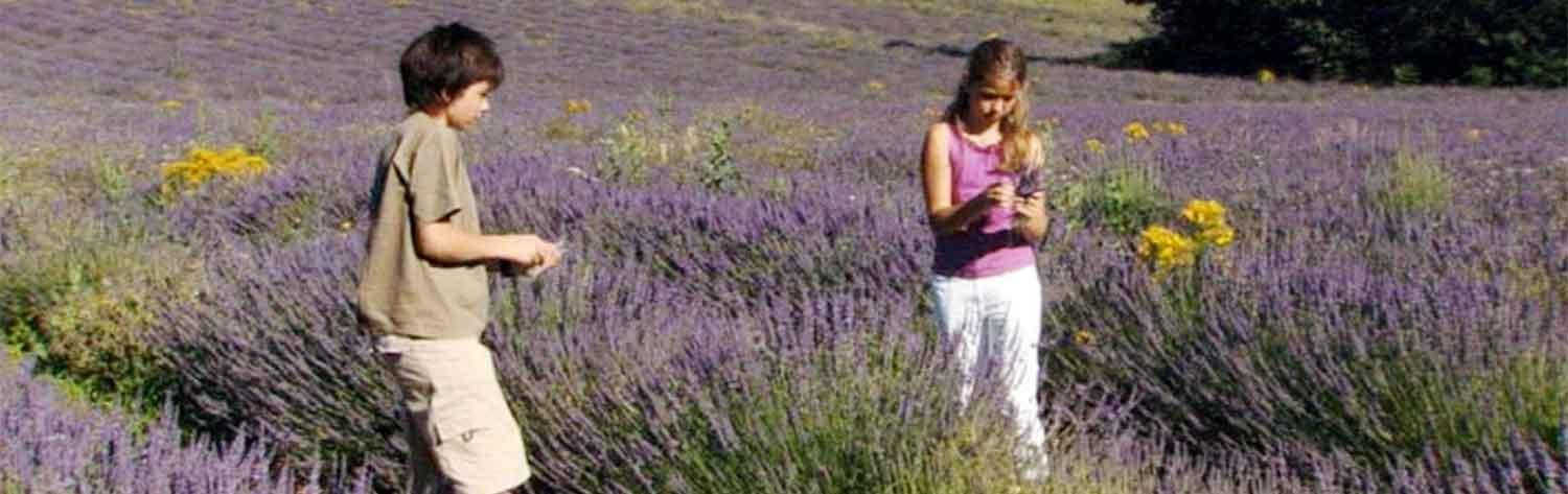 Nos enfants nous accuseront