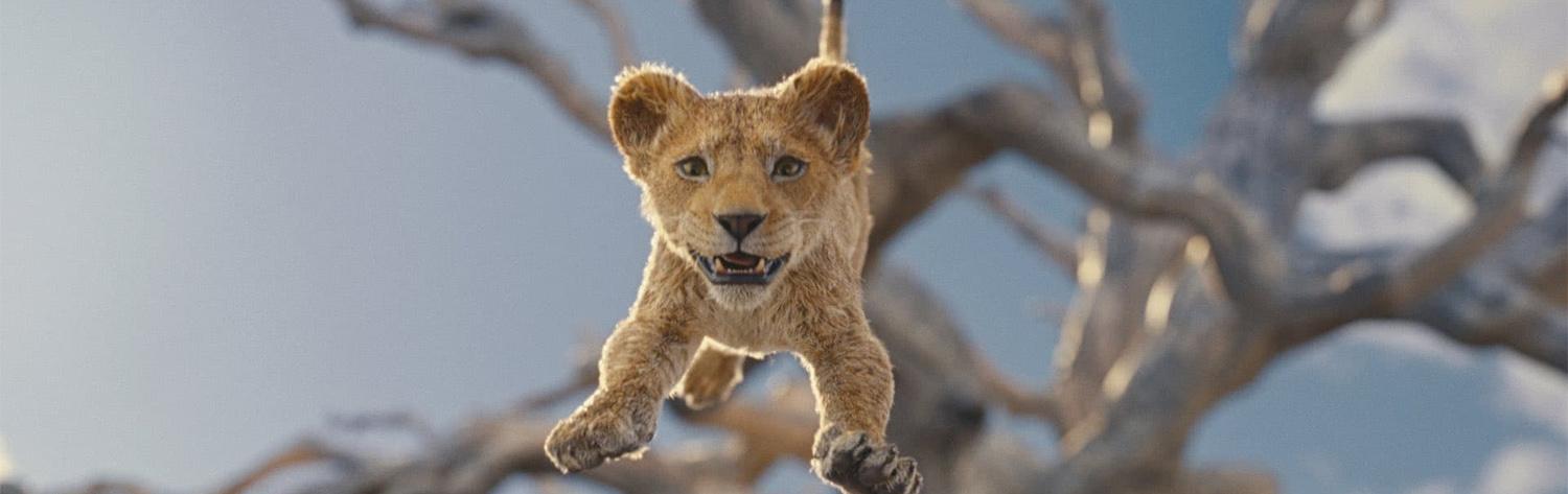 Mufasa - Le roi lion